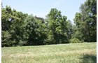 Property photo 4 - AUCTION POSTPONED